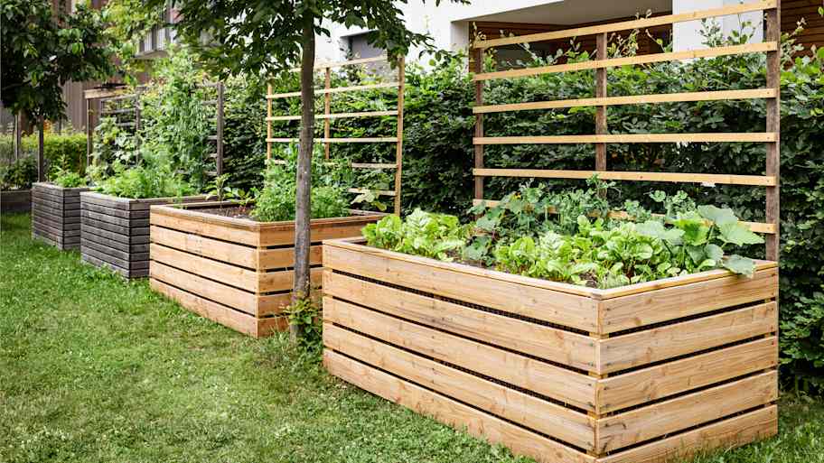Tall garden beds for growing vegetables 